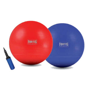 Bola suiza para ejercicios marca Fortis